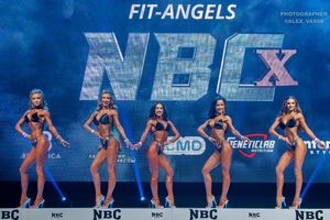 FIT-ANGELS 1 раунд